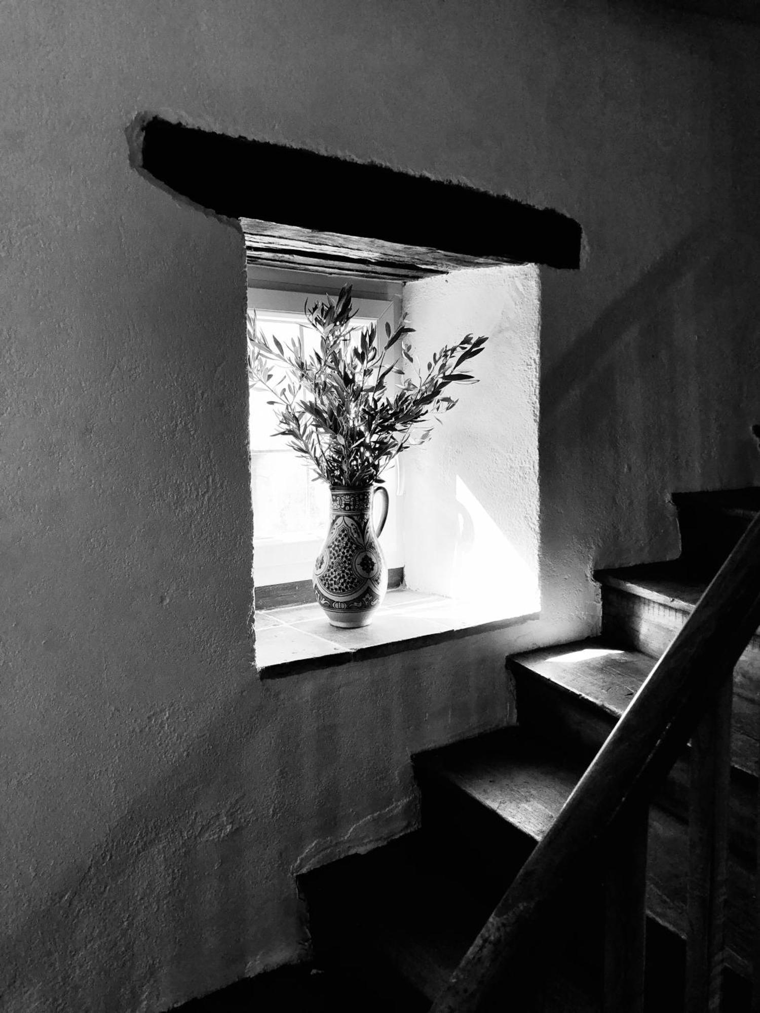Maison De L'Aurausse Les Cabannes  Dış mekan fotoğraf